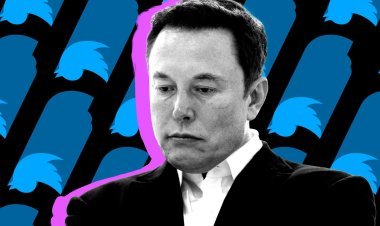 Twitter's income fell by 50 percent after Elon Musk's acquisition, Musk said - these challenges are still in front of the company