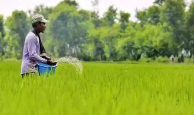 In three years, crops will start getting 100 percent indigenous fertilizers, there will be no need to import