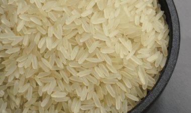 Inflation may increase due to ban on export of non-basmati rice, IMF gave this update