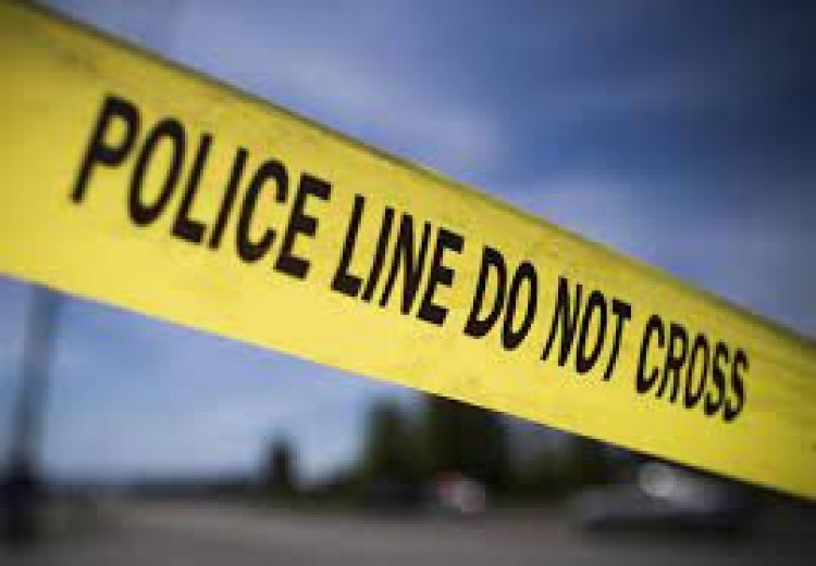 Indian-origin boy stabbed in Australia while playing basketball with friends on birthday