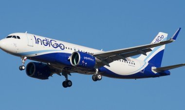 IndiGo earns record Rs 3,090.6 crore profit in Q1, highest ever quarterly total income