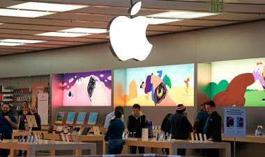 Apple shares fall 2 percent after expected decline in sales, company's profit up 2.3 percent in Q3