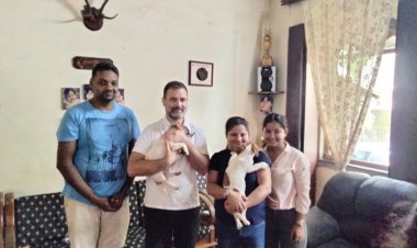 Rahul Gandhi was on a private tour of Goa, returned to Delhi with a puppy of Jack Russell Terrier breed