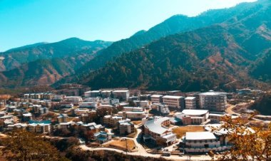 'Plastic' will be made from hemp stalks, there will be no harm to the environment; IIT Mandi startup developed technology