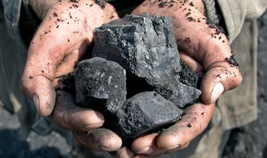 Coal companies will set up new power plants near the mine, preparing for production at less than Rs 4 per unit