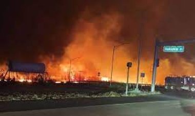 Hawaii Fire: Terrible fire in the forests of Hawaii Island! People jumped into the sea to save their lives, 36 died so far