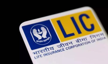 LIC Q1 Results: LIC's strong performance in June quarter, company's net profit increased manifold