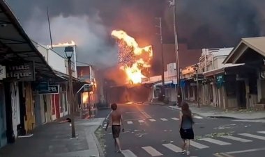 Hawaii wildfires: 55 killed so far, 1000 buildings destroyed by fire in Hawaii's forests; loss of billions