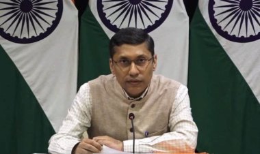 Niger Crisis: Advisory issued for Indians living in Niger, advice to return to India soon