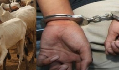 Bengaluru: Hindu activist arrested under Goonda Act, accused of lynching a man carrying a cow