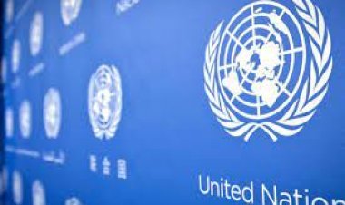 United Nations: NATO capability weapon reaching terrorist organization ISIL-K, United Nations expressed concern