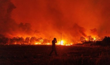 Greece Forest Fire: Orgy of fire in the forests of Greece, rescuers found 18 charred bodies; two firefighters injured