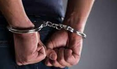 Singapore: Indian-origin mother sentenced to 18 weeks in jail for assaulting government employee