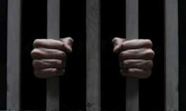 Chinese citizen who pushed Indian-origin security guard in Singapore sentenced will spend six weeks in jail