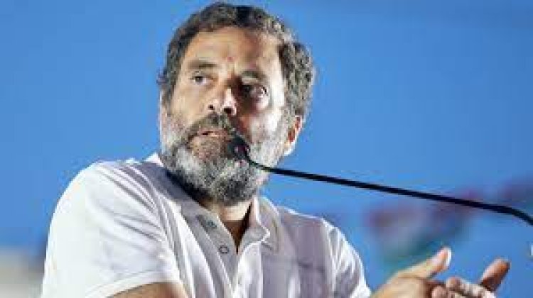 No need to panic...I will not speak on Adani today, Rahul Gandhi started his speech in Parliament in this way