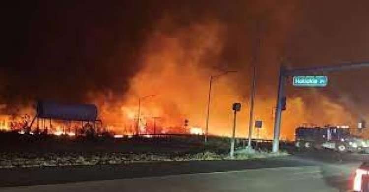 Hawaii Fire: Terrible fire in the forests of Hawaii Island! People jumped into the sea to save their lives, 36 died so far