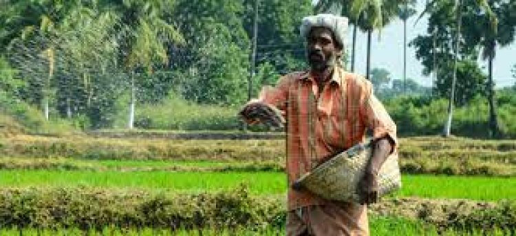 Frictionless Credit Facility: RBI is bringing frictionless credit facility, farmers and unorganized sections will benefit
