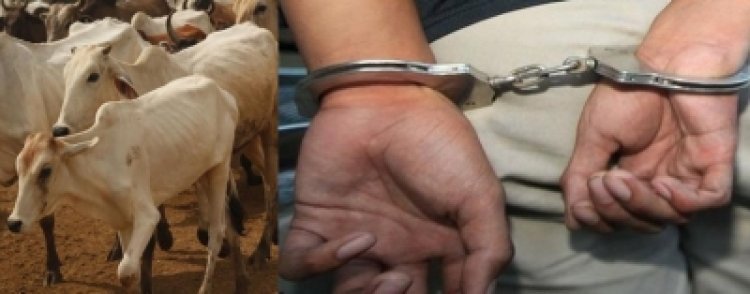 Bengaluru: Hindu activist arrested under Goonda Act, accused of lynching a man carrying a cow