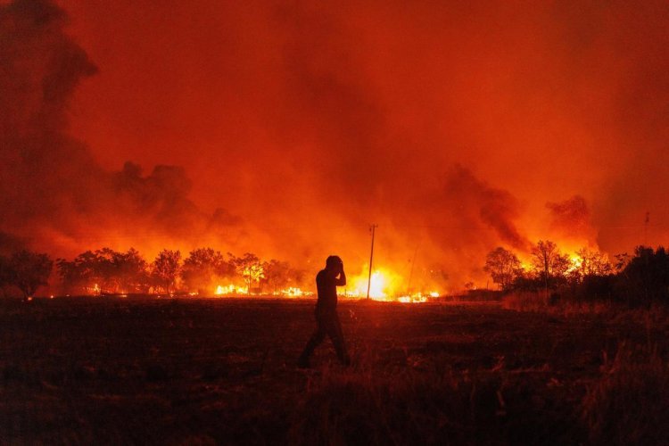 Greece Forest Fire: Orgy of fire in the forests of Greece, rescuers found 18 charred bodies; two firefighters injured