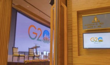 Social service organizations angry over removal of dogs from G20 meeting venue leveled many allegations against NDMC personnel