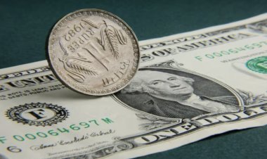 Dollar to Rupee Rate: Rupee supported by better inflation data, opened flat against dollar