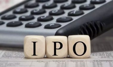 Upcoming IPO: Blue Jet Healthcare's IPO is opening this month, know what is the price band