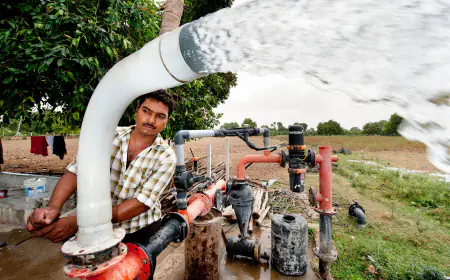 India is moving towards the extreme point of groundwater depletion, it is being used the most at these places