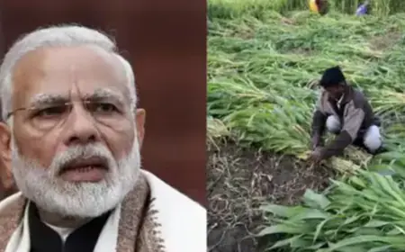 Beneficiary list of PM Kisan Yojana released, check your name by following these steps