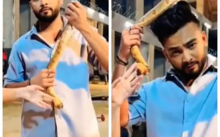 Elvish Yadav, the winner of 'Bigg Boss - OTT', is accused of hosting raves after snake venom was discovered