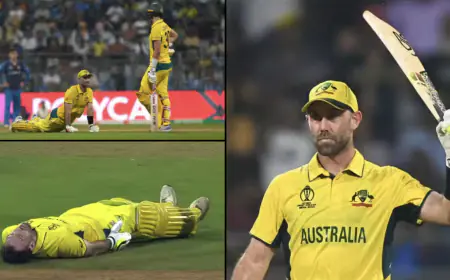 AUS vs AFG: 'Mata Aayegi' will now head Glenn Maxwell, Virender Sehwag had already predicted this
