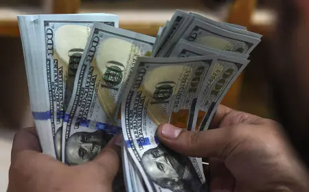 Why is FPI selling continuing in November, shares worth more than Rs 5800 crores sold so far