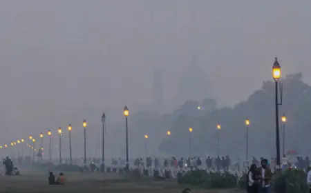 Difficult to breathe in many cities including Delhi; AQI again reaches very poor category in NCR