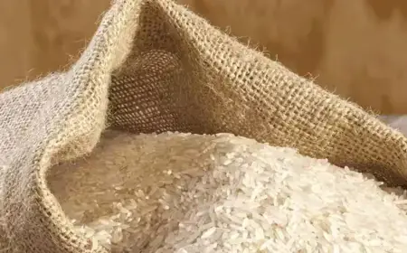 Government of India again extended its helping hand, Patanjali Ayurveda donated 20 metric tons of rice to Nepal earthquake victims