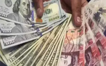 Forex Reserve: India's foreign exchange reserves fell again, declined by 462 million dollars; Gold reserve also decreased