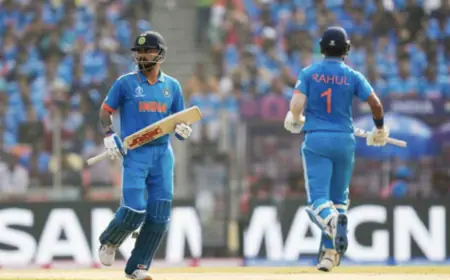 India did not hit a single four or six in 97 balls of the World Cup final, what were Kohli and Rahul doing?