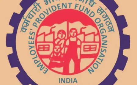 EPFO members increase once again, according to payroll data, more than 8 lakh new members joined in September 2023