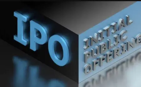 Tata Technologies' IPO became full within a few minutes, these investors invested the most