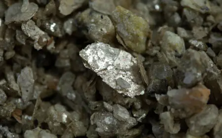 First auction process of 20 rare minerals will start from today, know all the details here