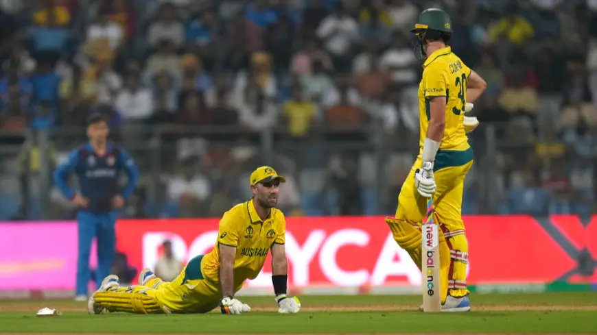 AUS vs BAN: Australia won the toss and chose bowling, Glenn Maxwell and Mitchell Starc out of the team
