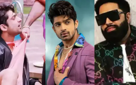 'Bigg Boss 17': Tehelka (Sunny Arya) Expelled Following Altercation with Abhishek