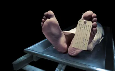 Seven laborers died after being buried under a pile of 100 tons of maize, police rescued one person