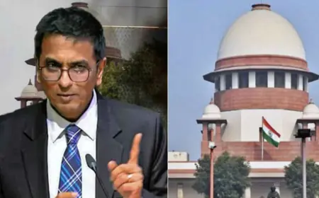 'Government should get leeway on important decisions to save the country' SC's comment in the Citizenship Act case