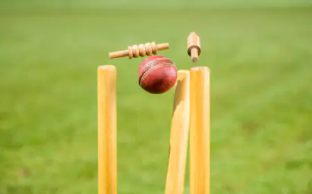 Batsman got flustered, hit 22 sixes in one innings, scored so many runs in just 43 balls