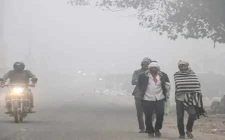 Severe winter has started in North India, Sunday was the coldest day of December, know how the weather will be today