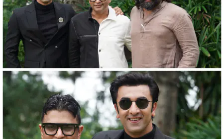 How T-Series' Smart Marketing Strategies Led to the Triumph of 'Animal'