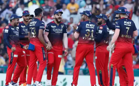 RCB plans to buy these players in IPL 2024 auction, director himself revealed