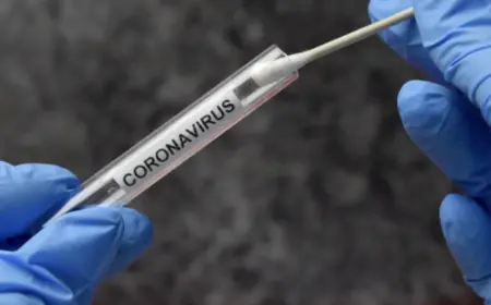 Covid-19 in Kerala: Corona period in Kerala, 128 new Covid cases reported in 24 hours; death of 1