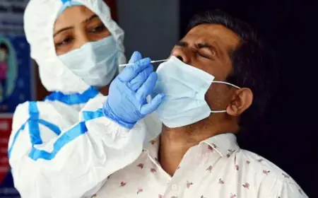 Covid-19 JN.1 Cases In India: Six deaths and 692 new cases, Corona cases increase concern in last 24 hours