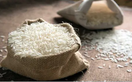 Bharat Rice: After flour, government will now sell cheaper rice under Bharat brand, announcement will be made soon