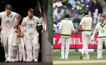 Australia will go to clean sweep PAK in Sydney, AUS announced the team for the last match, David Warner will play the last test